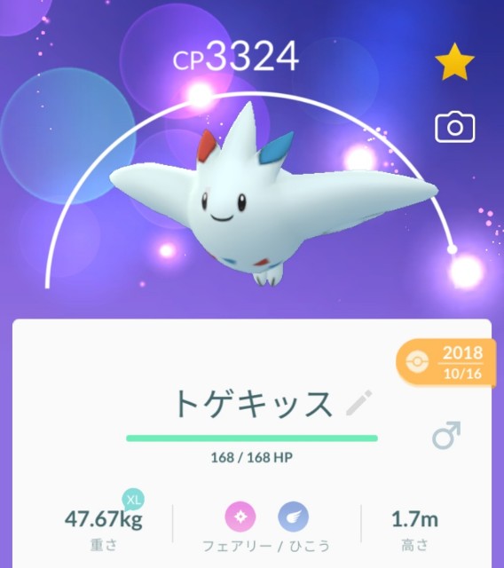 f:id:daichipokego777:20210508091903j:image f:id:daichipokego777:20210508091903j:image