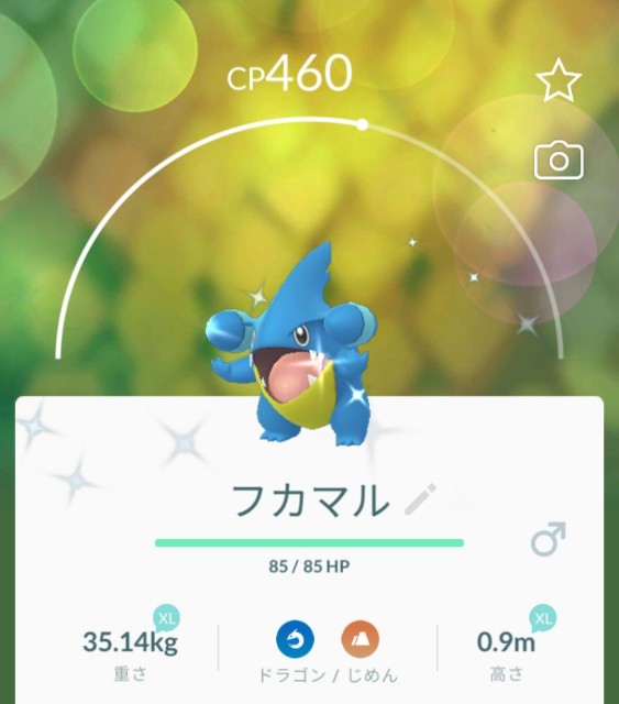 f:id:daichipokego777:20210516103516j:image f:id:daichipokego777:20210516103516j:image