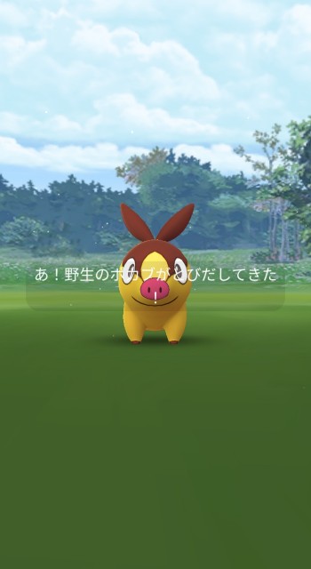 f:id:daichipokego777:20210704093100j:image