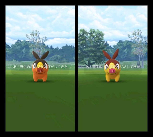 f:id:daichipokego777:20210704093416j:image