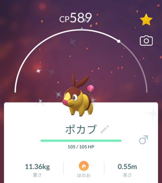 f:id:daichipokego777:20210704093848j:image