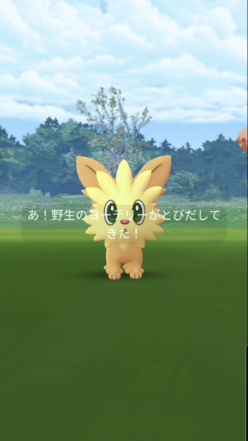 f:id:daichipokego777:20210704094446j:image