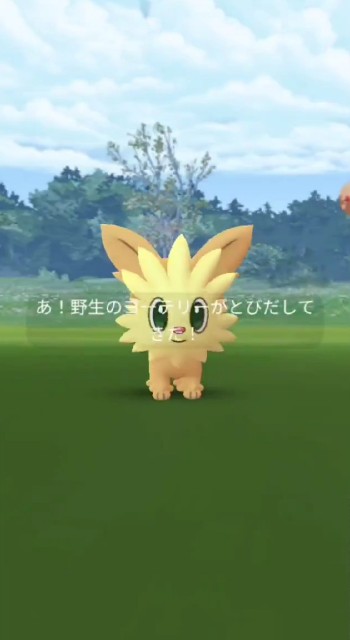 f:id:daichipokego777:20210704101243j:image