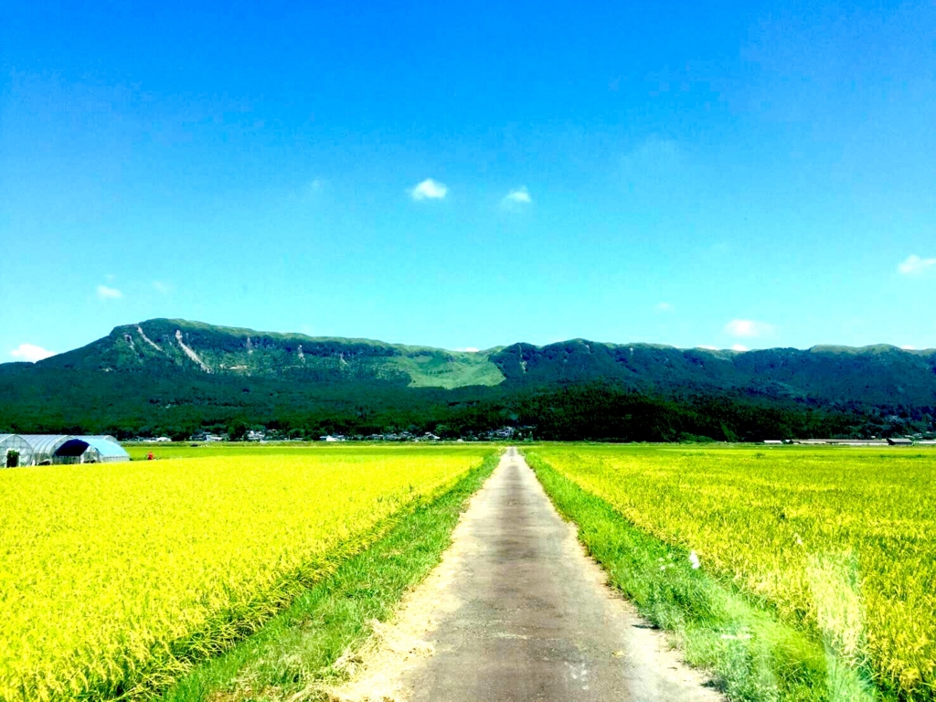 f:id:daichishido:20170412012311j:plain