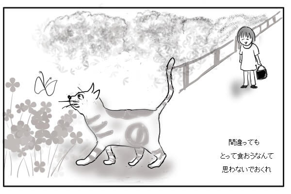 蝶を追いかける猫