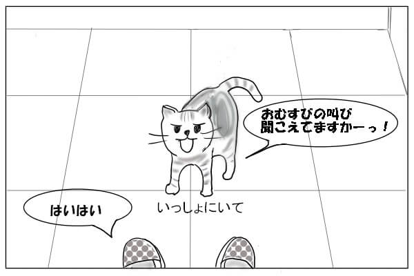 キッチンまでついてくる猫