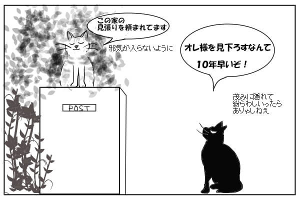 にらみ合う猫