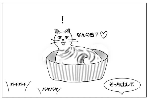 物音で目覚めた猫