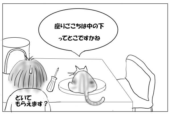 板の上に乗る猫