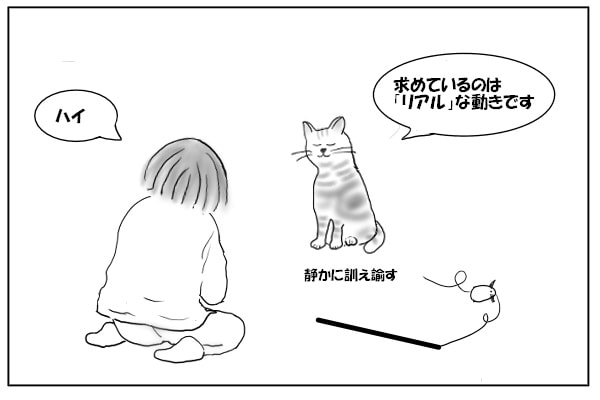 猫と飼い主2