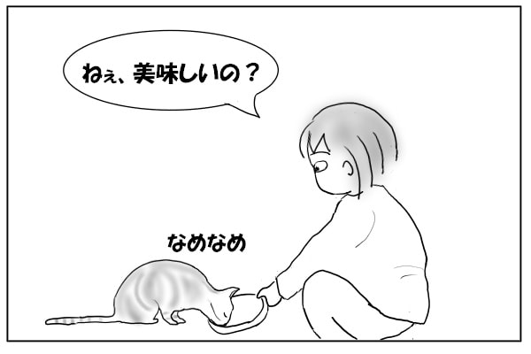 猫にまたたび