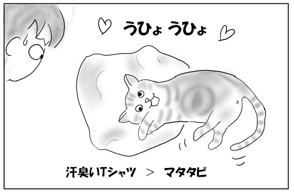 喜ぶ猫