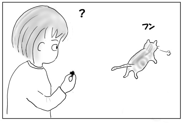 ぷいっと去る猫