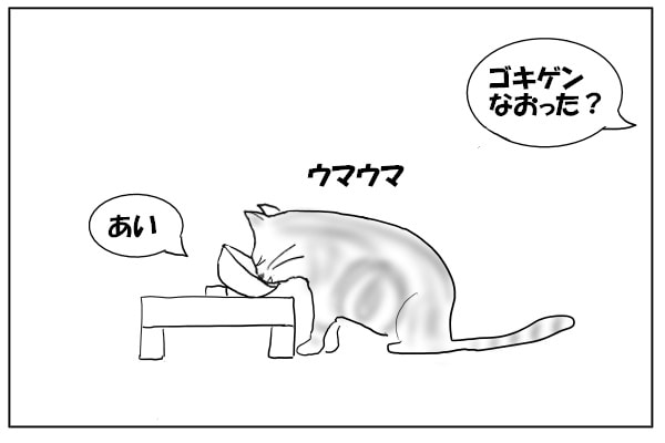 おやつを食べる猫