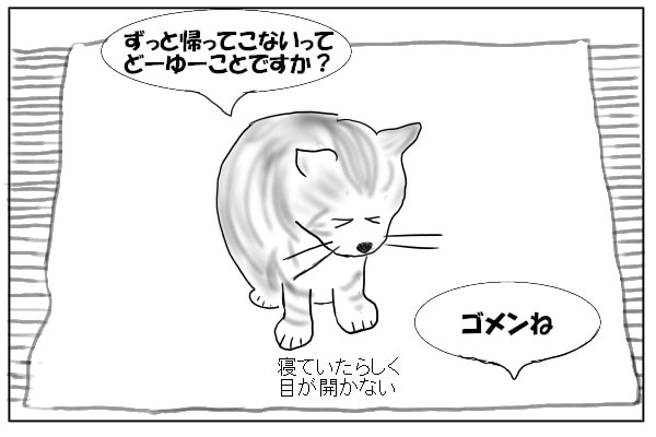 寝ぼける猫