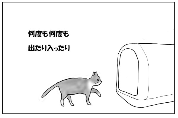 トイレに入る猫