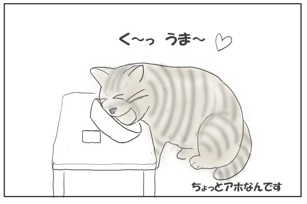 食べる猫