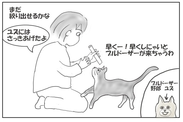 催促する猫