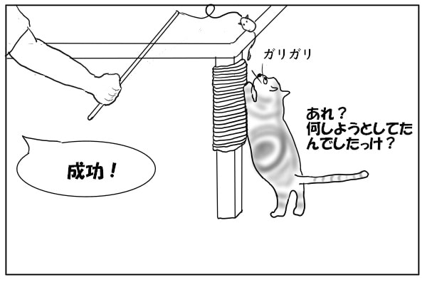 爪を研ぐ猫