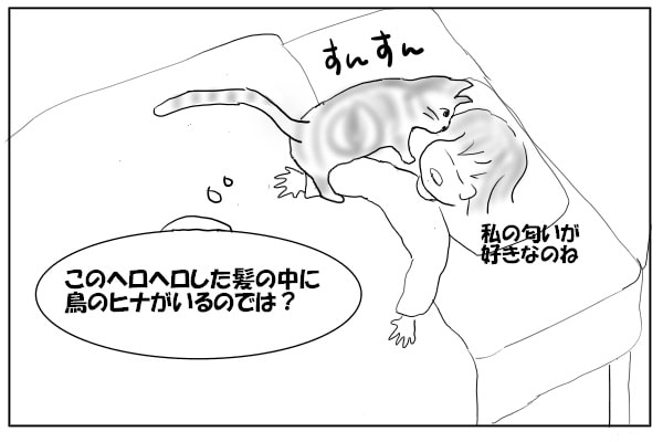 匂いをかぐ猫