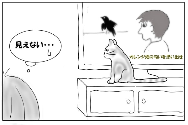 テレビの前に座る猫