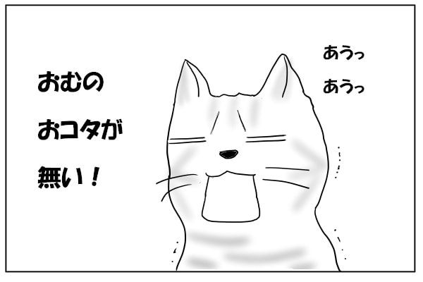 唖然とする猫