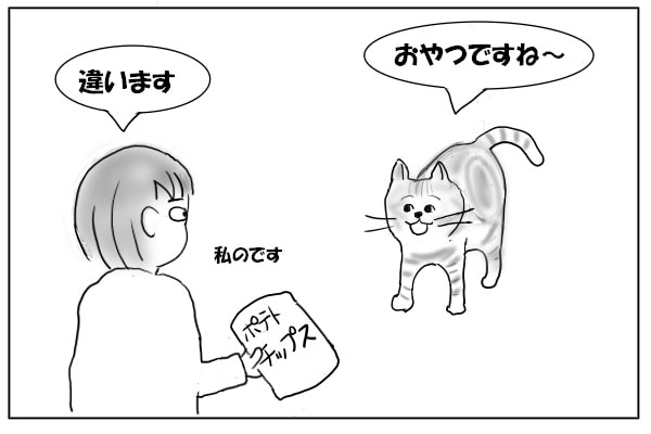 おやつに反応する猫