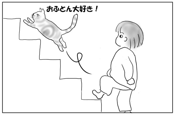 はしゃぐ猫