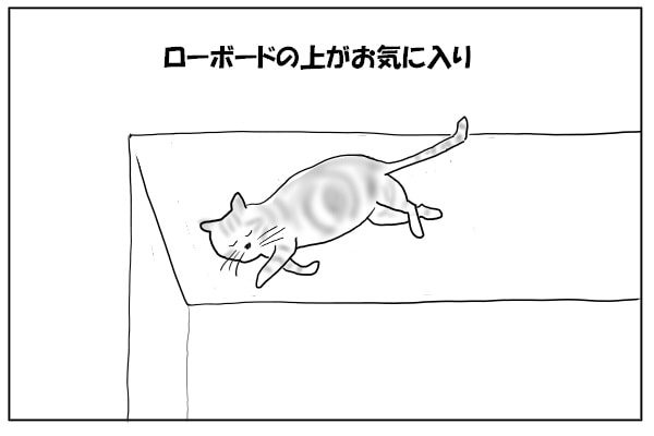 寝る猫