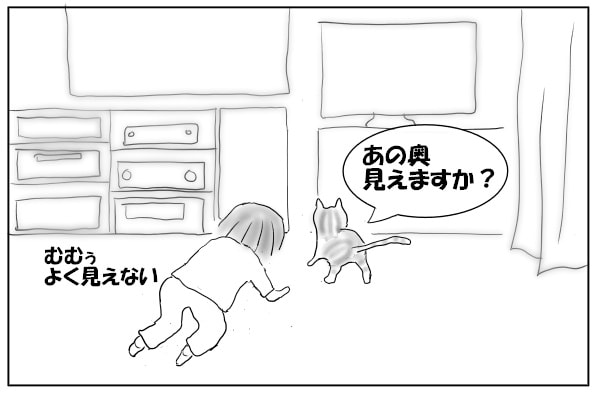 猫の後ろを歩く