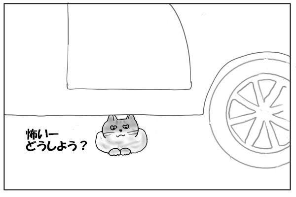 うずくまる猫