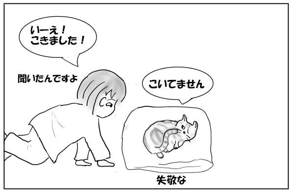 否定する猫