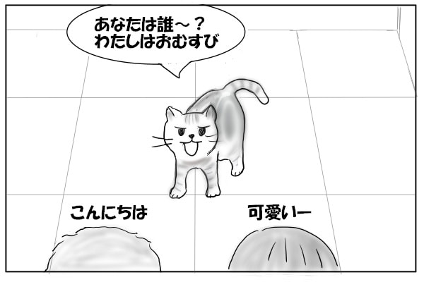 出迎える猫