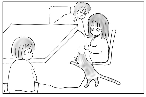 よじ登る猫