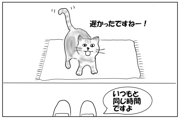 出迎える猫