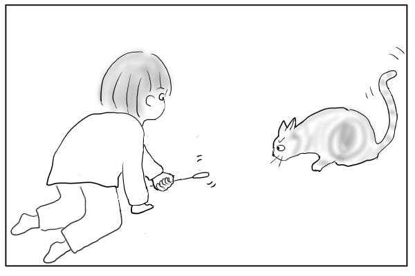 猫と遊ぶ