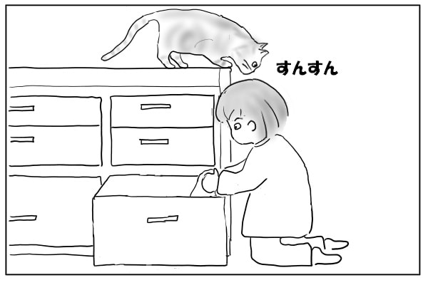 匂いを嗅ぐ猫