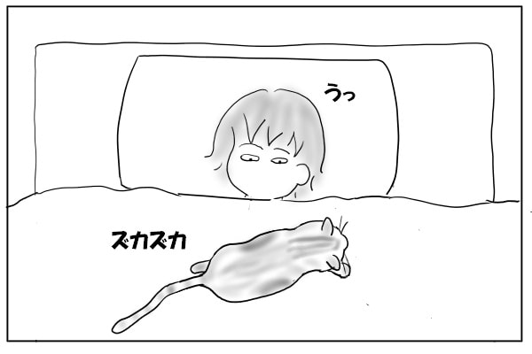 ずかずか乗る猫