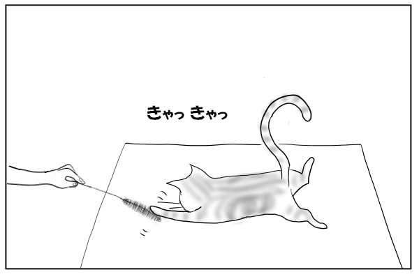 猫じゃらし