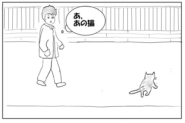 猫が前を横切る