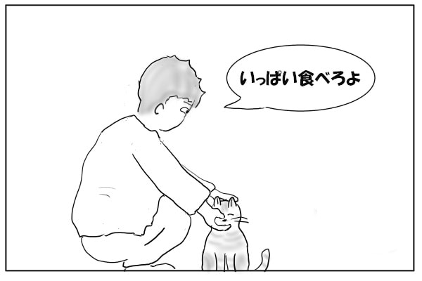 猫にかつおぶしをあげる