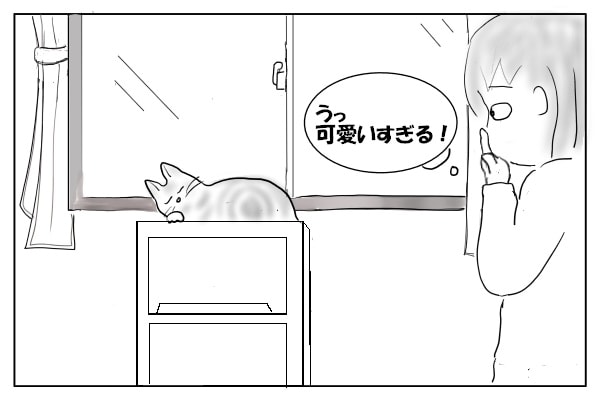 猫を撫でたい