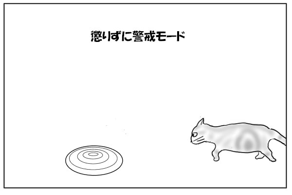 近づく猫