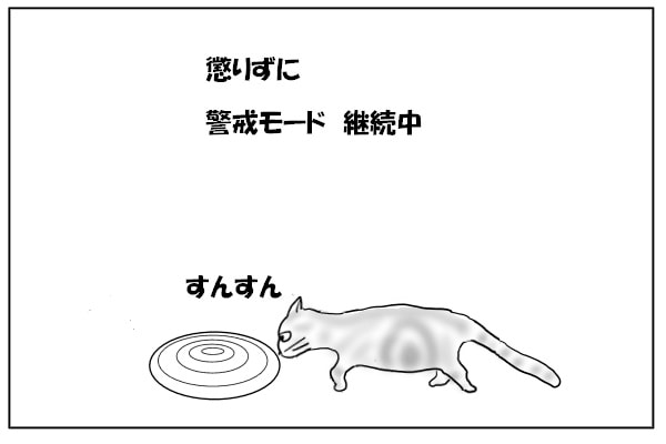 確認する猫