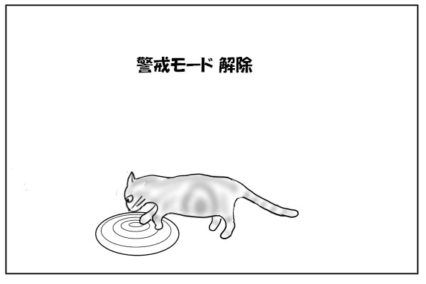 足を乗せる猫