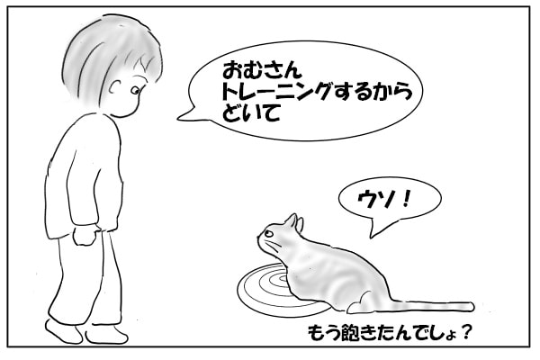 ひとり占めする猫