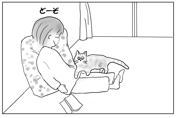 猫を膝に乗せる