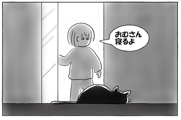 猫を迎えにいく