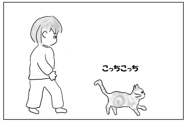 誘導する猫