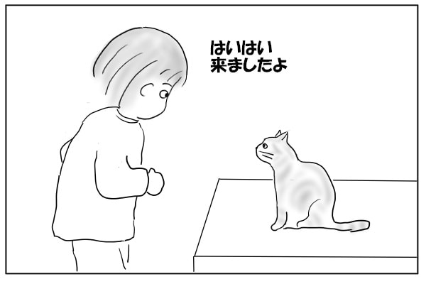 駆けつける飼い主